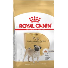 Royal Canin Dog Breed Pug Adulto